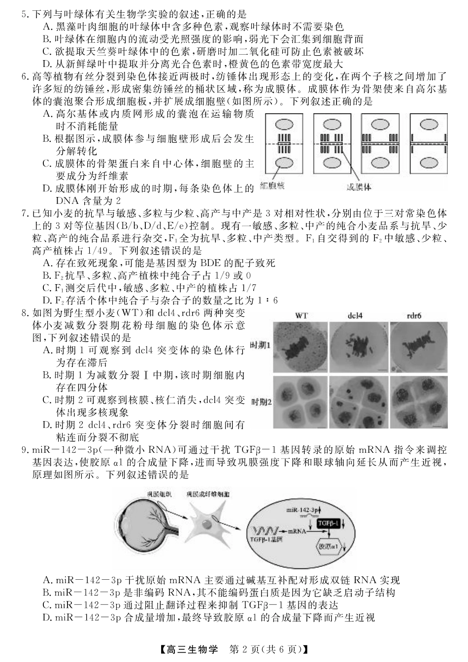 金科新未来11月18-19日高三联考-生物.pdf_第2页
