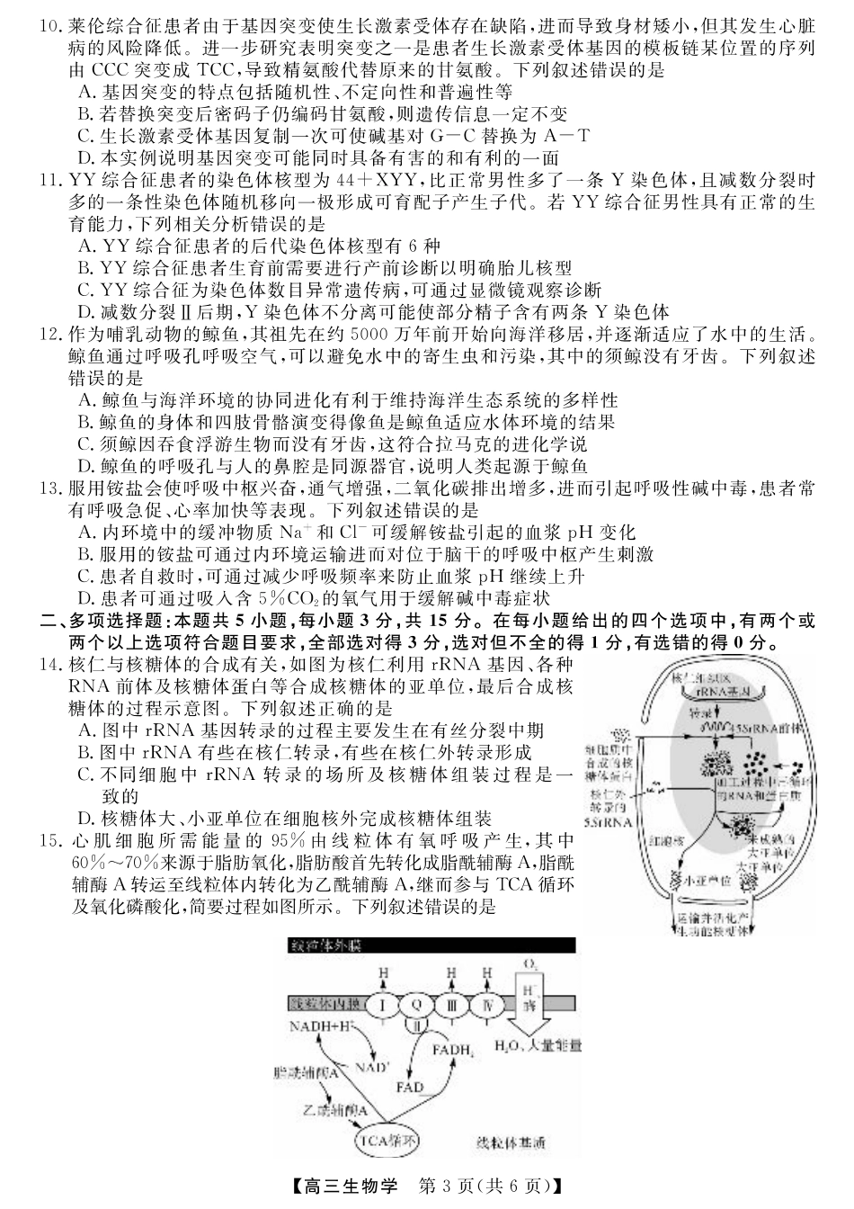 金科新未来11月18-19日高三联考-生物.pdf_第3页