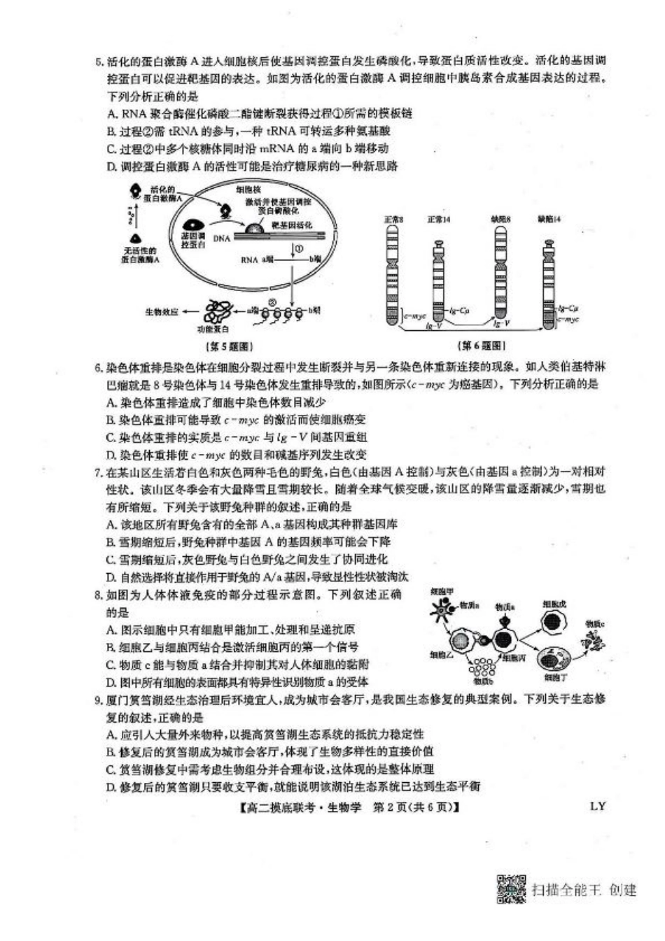 九师联盟2024-2025学年高二下学期6月摸底联考生物试题（含答案）.pdf_第2页