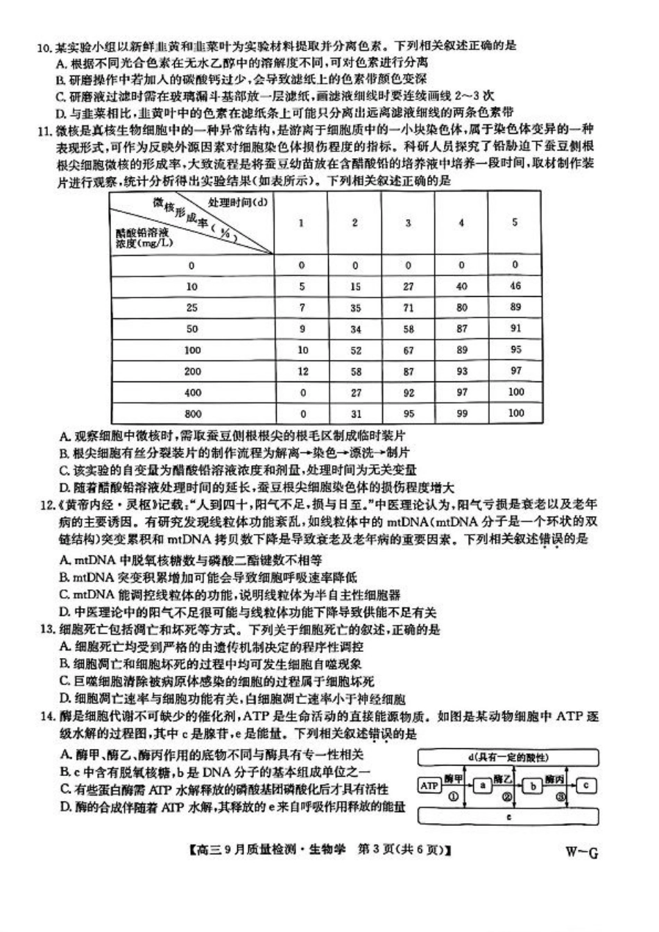 九师联盟2025届高三10月联考（W-G）生物试题.pdf_第3页