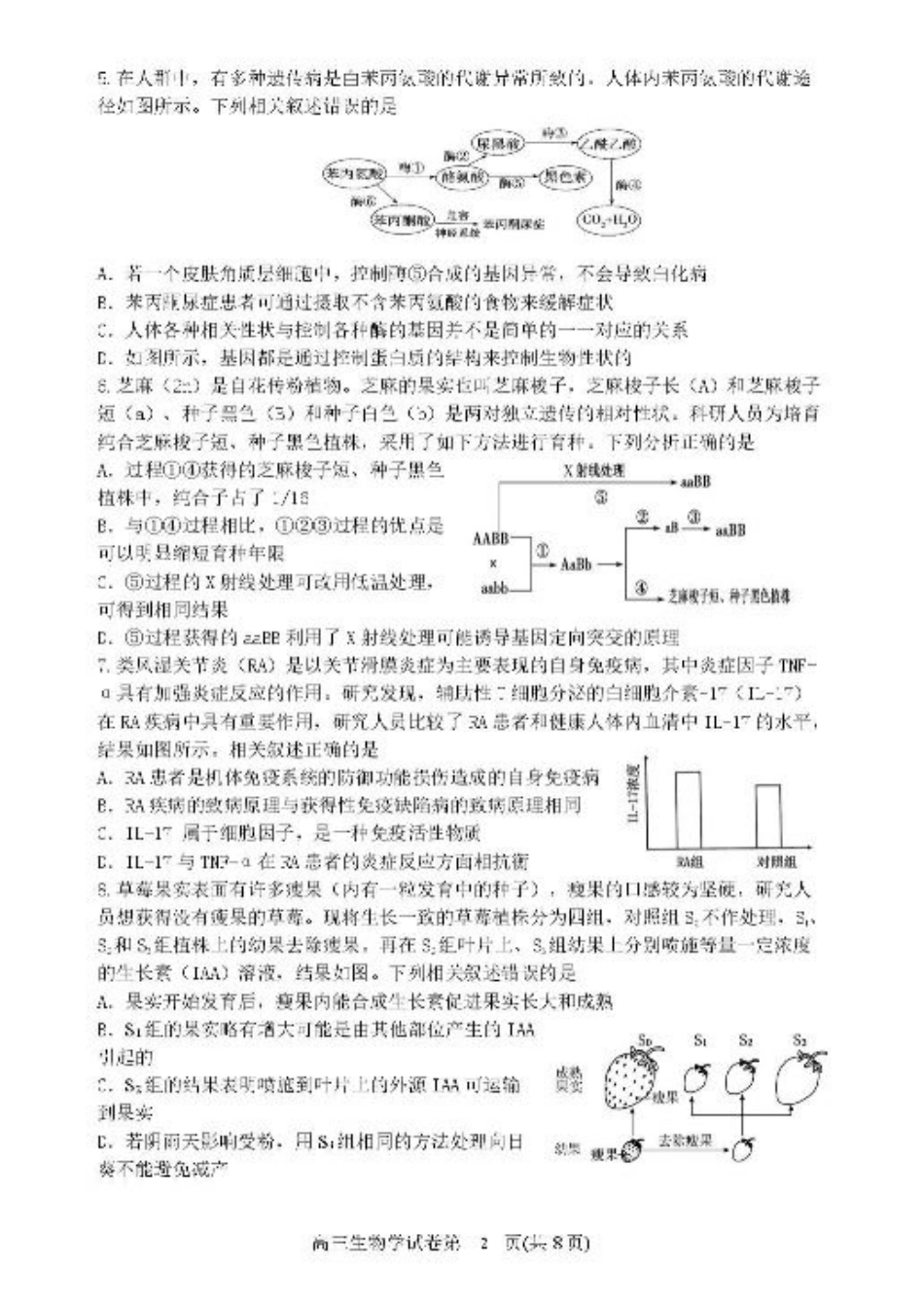 辽宁省丹东市2025届高三下学期3月总复习质量测试（一）生物 含答案.pdf_第2页
