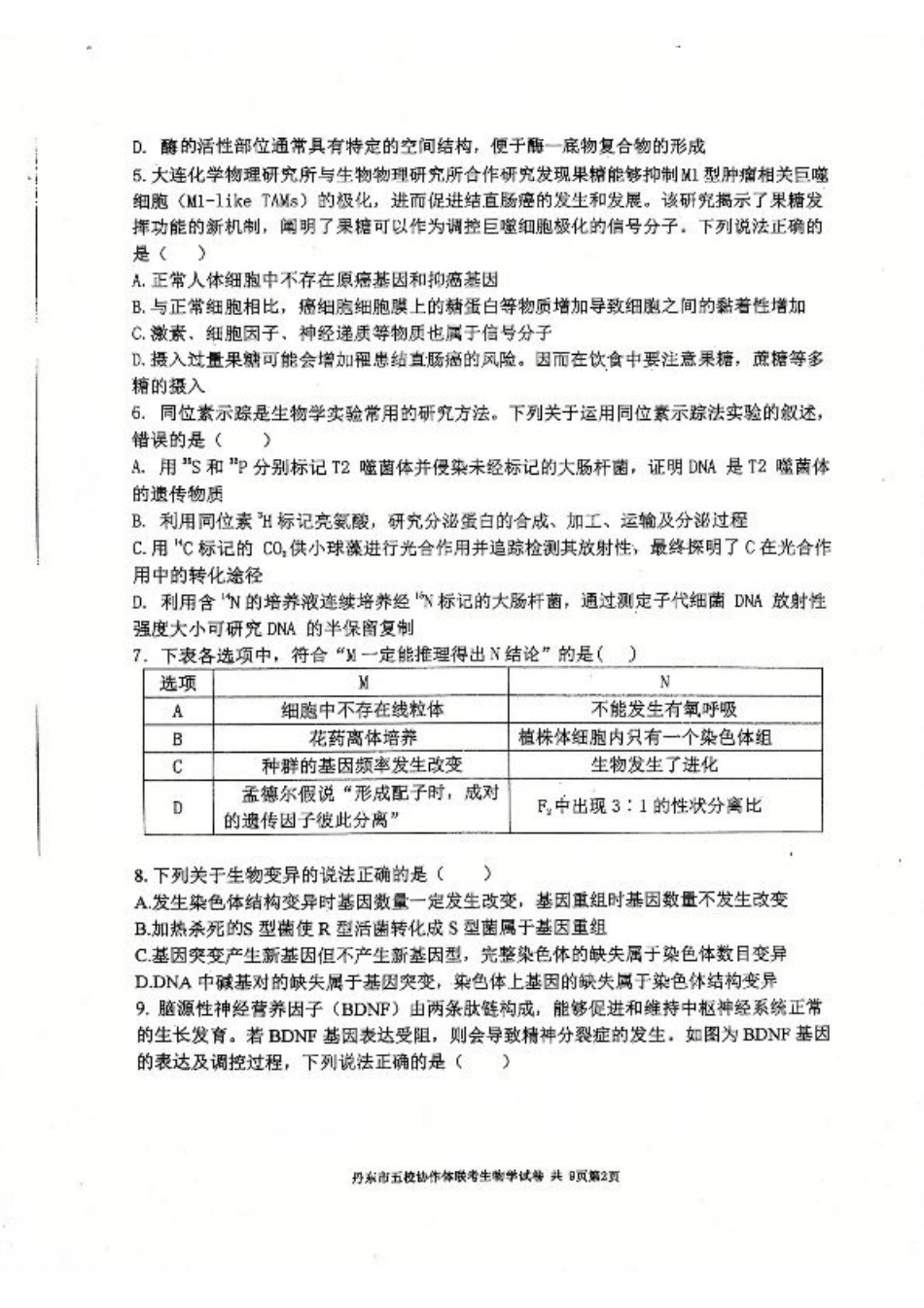 辽宁省丹东市五校协作体2024-2025学年高三上学期12月月考试题 生物 PDF版含答案.pdf_第2页