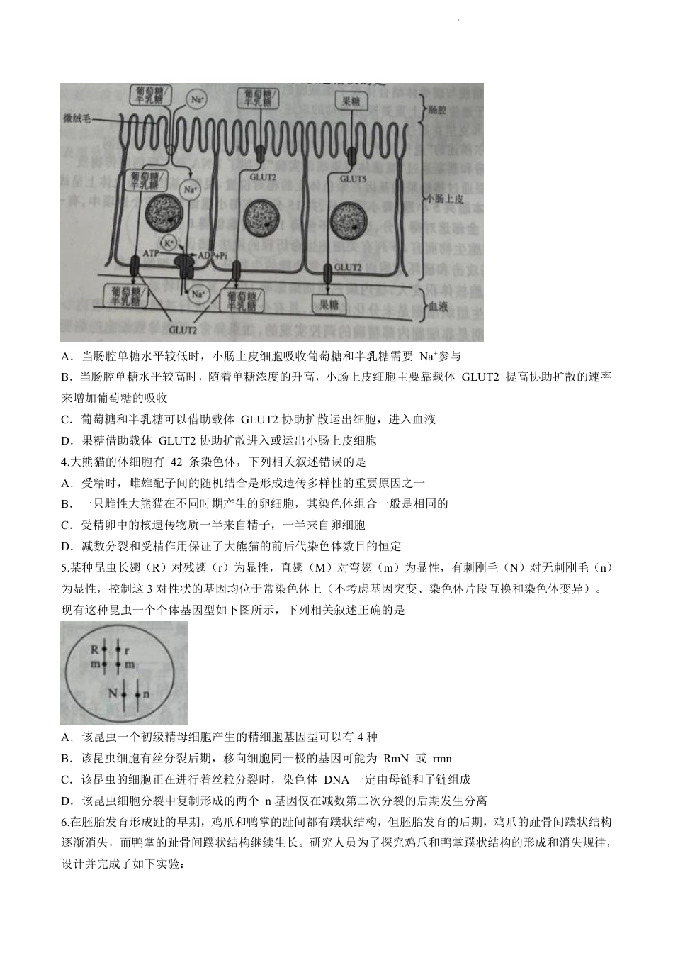 辽宁省名校联盟2023-2024学年高三10月月考生物试题.pdf_第2页