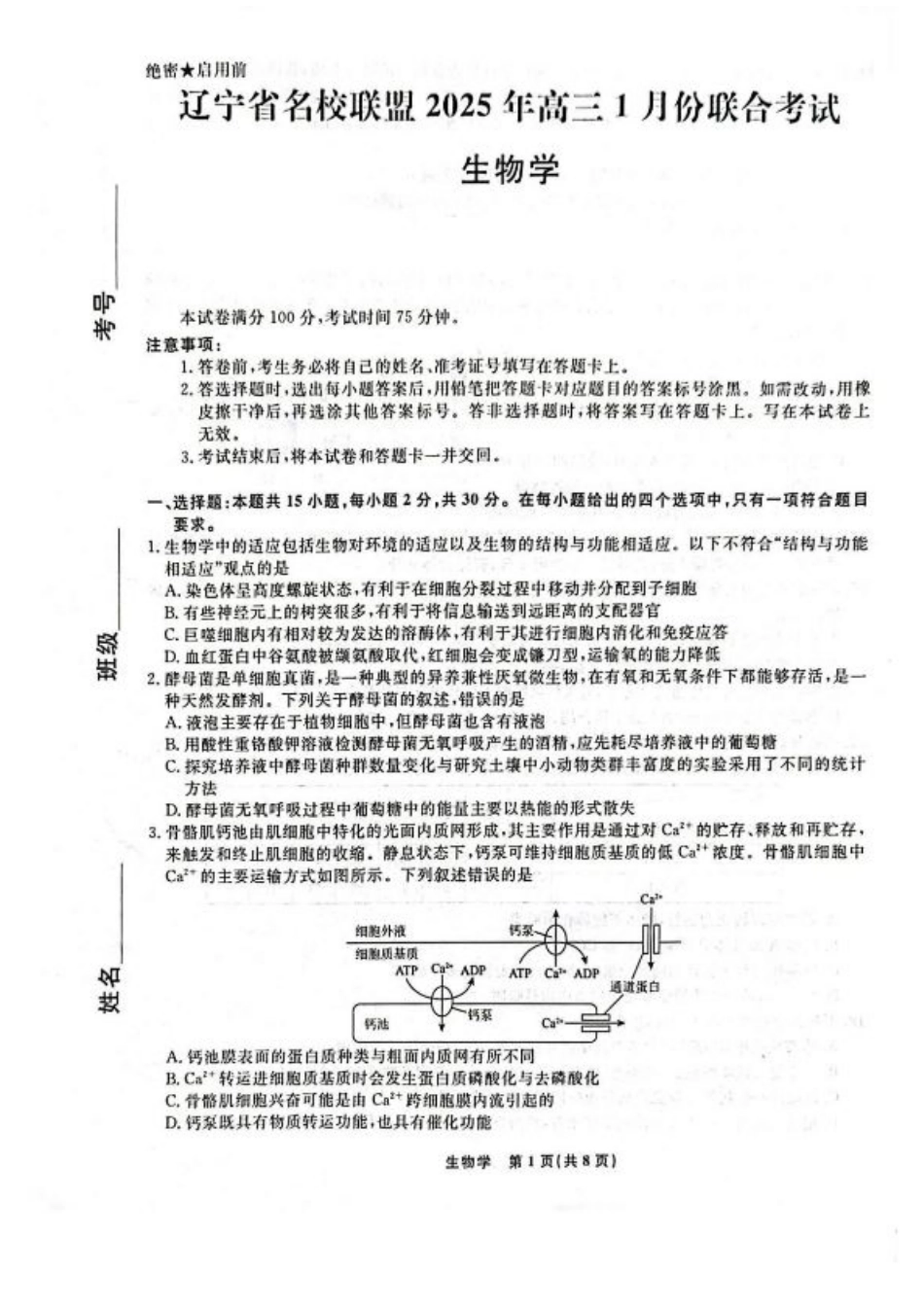 辽宁省名校联盟2024-2025学年高三上学期1月联合考试生物试题.pdf_第1页