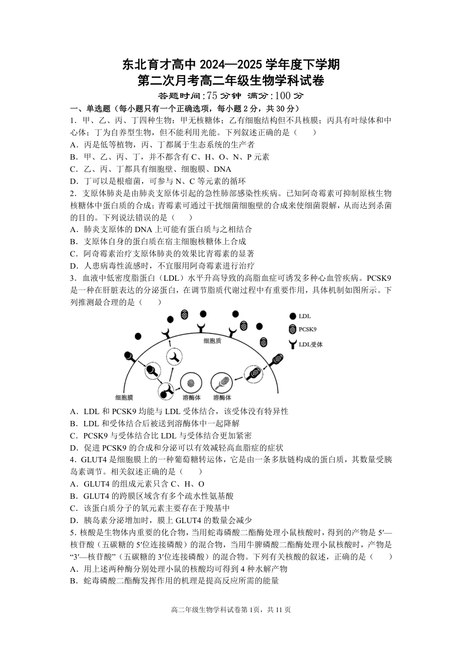 辽宁省沈阳市东北育才学校2024-2025学年高二下学期第二次月考试题 生物 PDF版含答案.pdf_第1页
