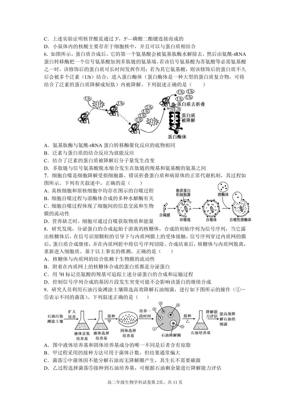 辽宁省沈阳市东北育才学校2024-2025学年高二下学期第二次月考试题 生物 PDF版含答案.pdf_第2页