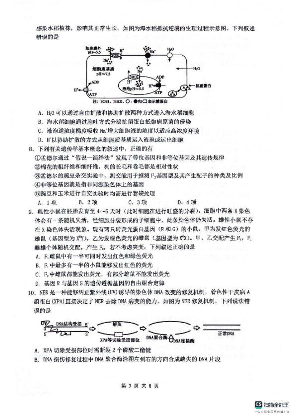 绵阳南山中学高2023级高三第二次教学质量检测+生物试题（含答案）.pdf_第3页