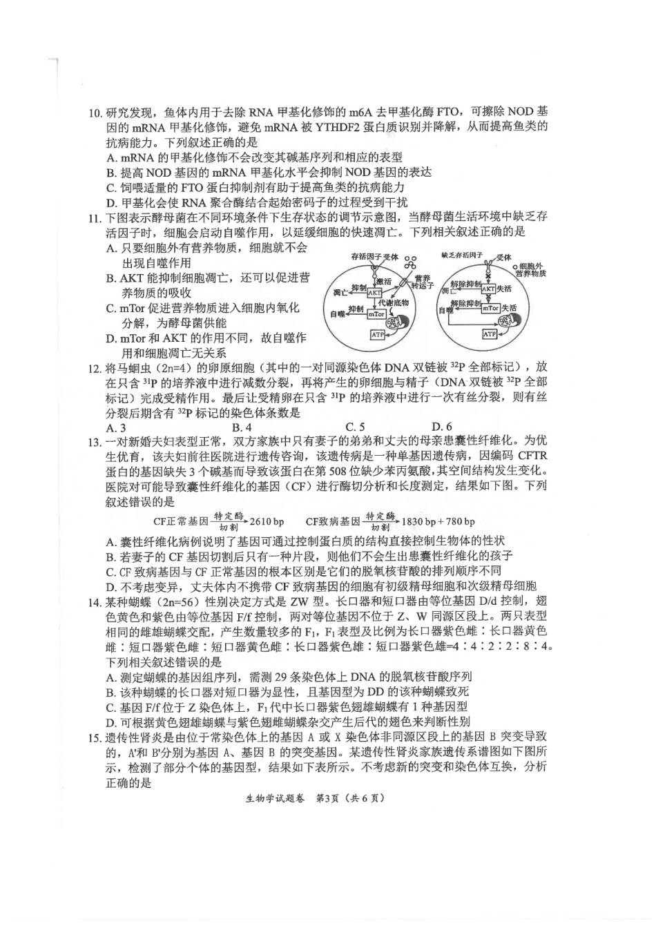 绵阳市高中2022级第一次诊断性考试生物.pdf_第3页