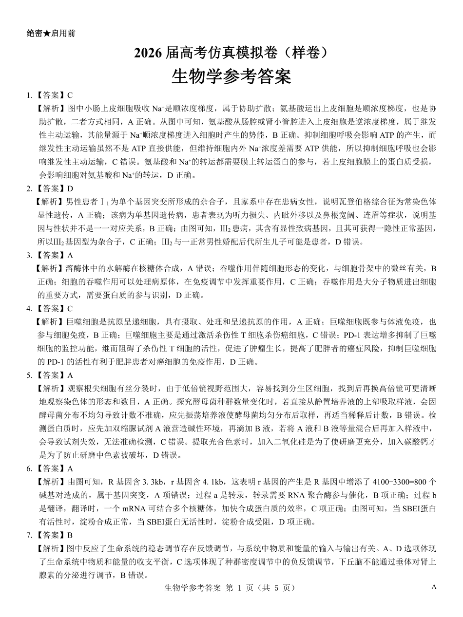 名校教研联盟2026届高考仿真模拟卷（样卷）生物答案.pdf_第1页