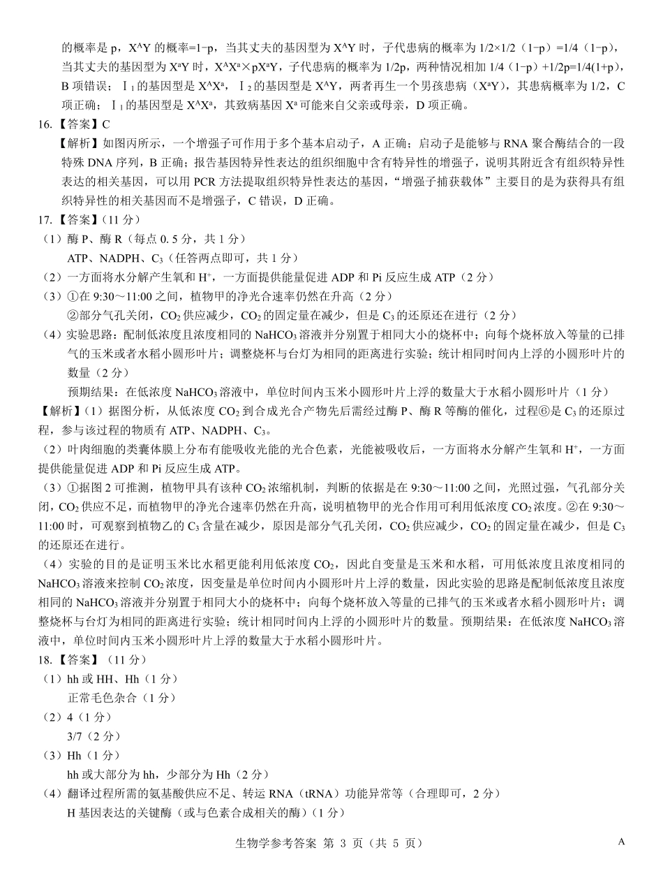 名校教研联盟2026届高考仿真模拟卷（样卷）生物答案.pdf_第3页