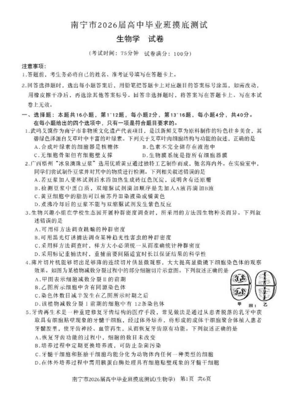 南宁2026届高三10月摸底考生物试卷（含答案）.pdf_第1页