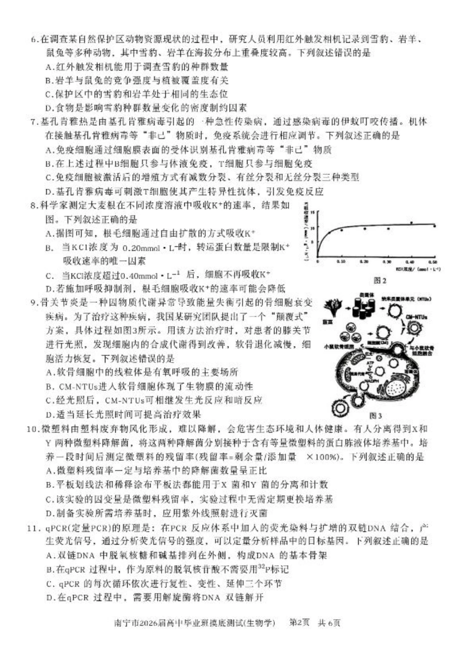 南宁2026届高三10月摸底考生物试卷（含答案）.pdf_第2页