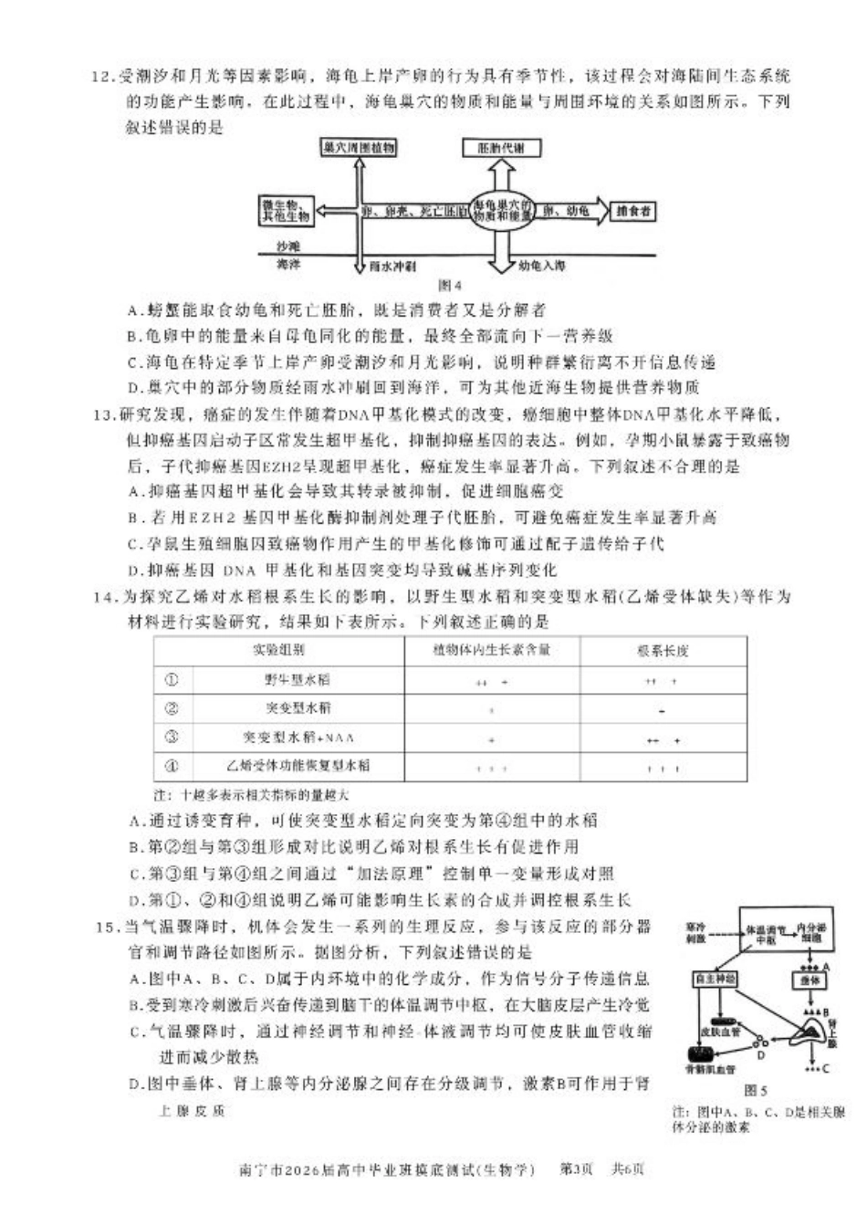 南宁2026届高三10月摸底考生物试卷（含答案）.pdf_第3页