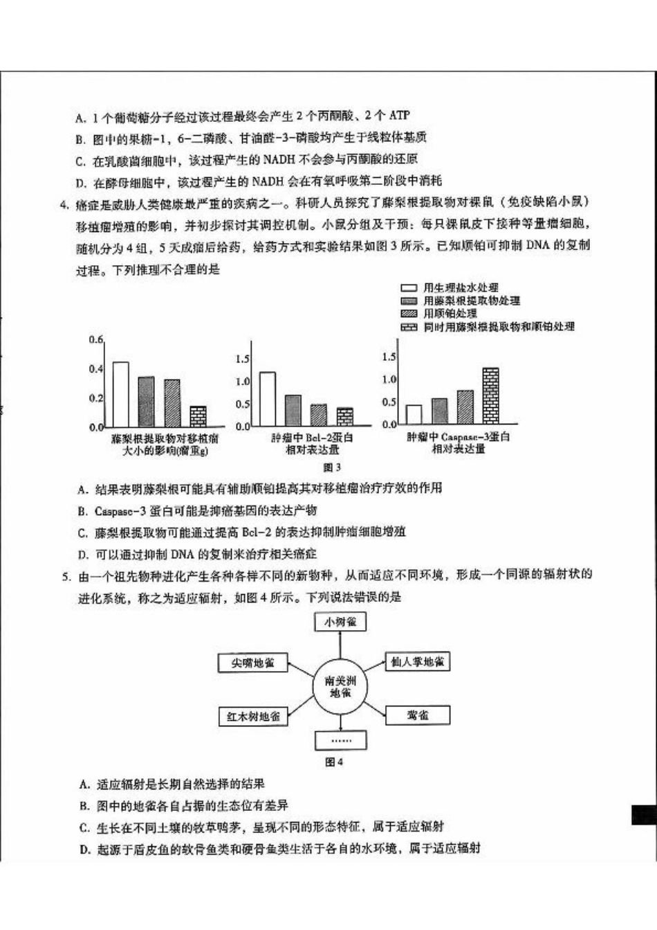 内蒙古包头市2025届高三下学期4月二模试题 生物 含答案.pdf_第2页