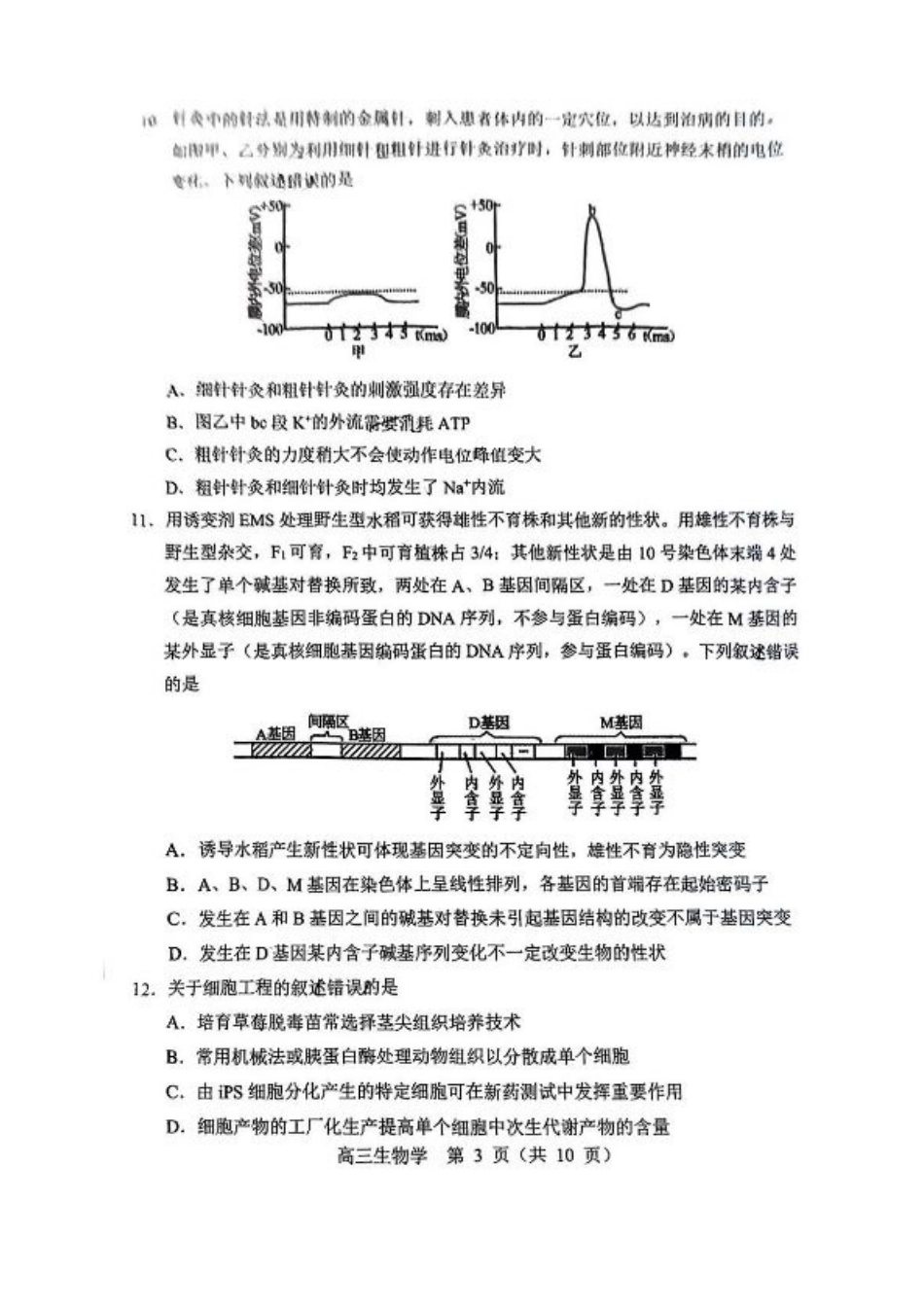 内蒙古赤峰市2025届高三下学期3·20模拟考试生物试卷（含答案）.pdf_第3页
