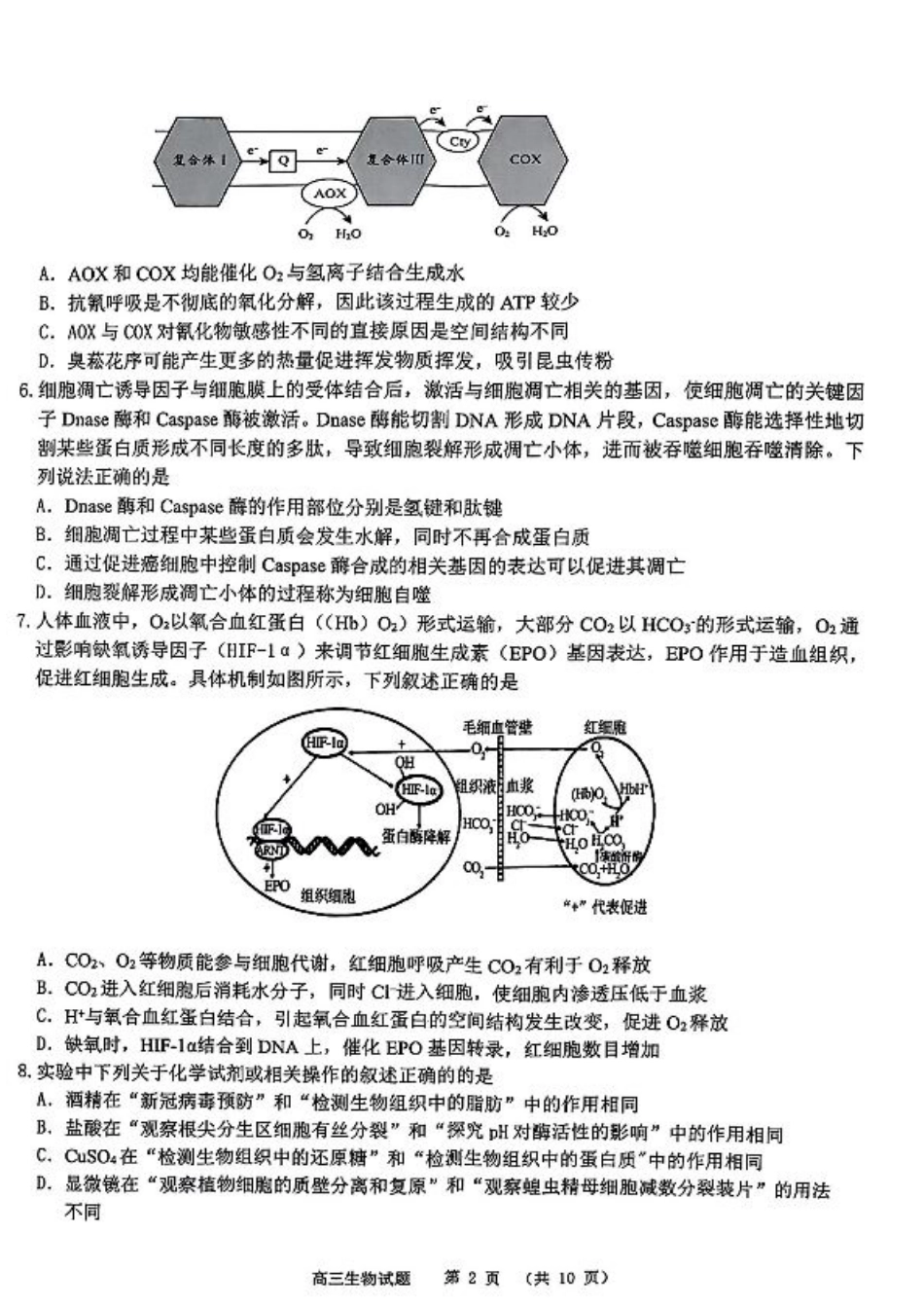 山东省部分名校2025届高三上学期12月校际联合检测生物+答案.pdf_第2页