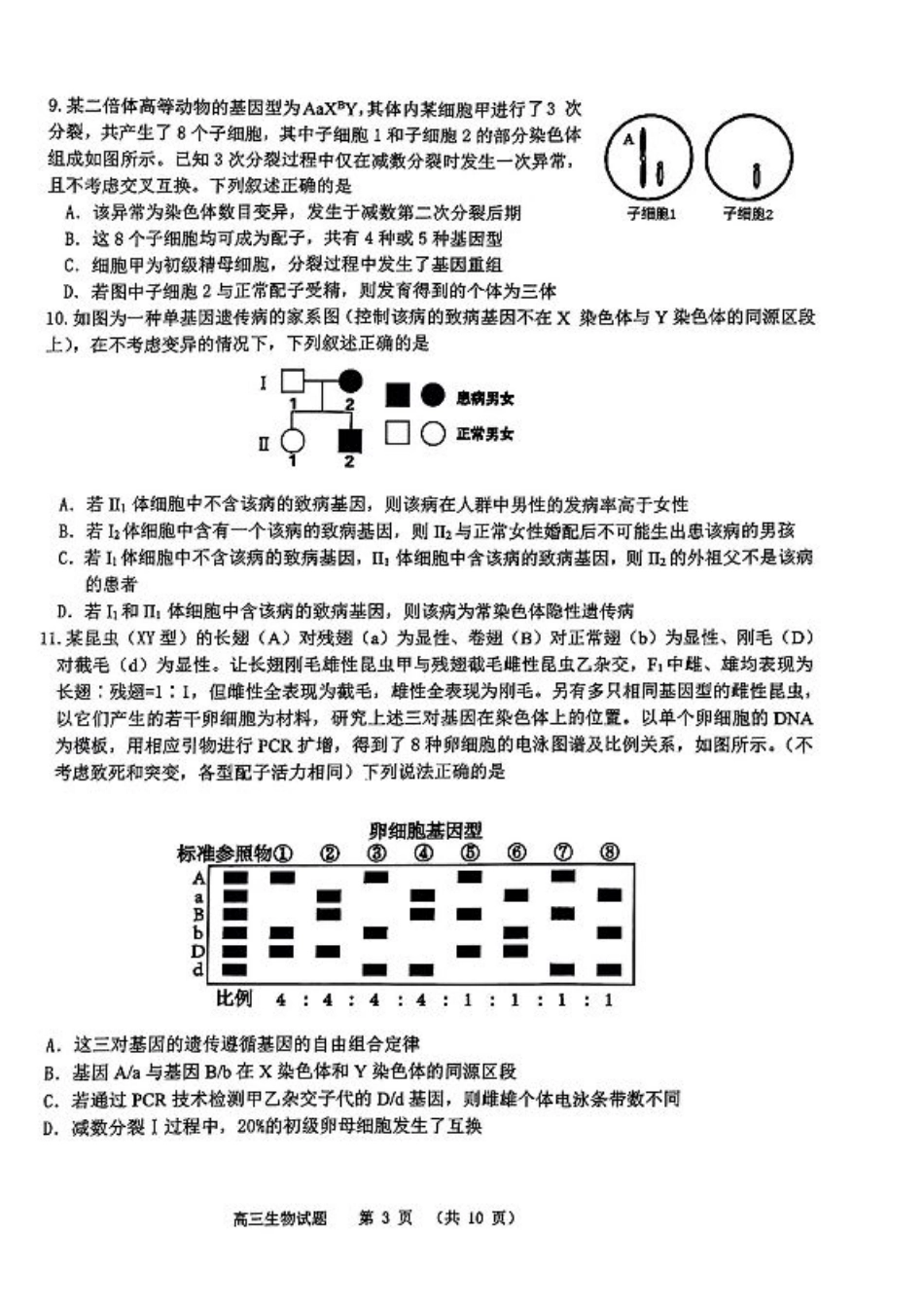 山东省部分名校2025届高三上学期12月校际联合检测生物+答案.pdf_第3页