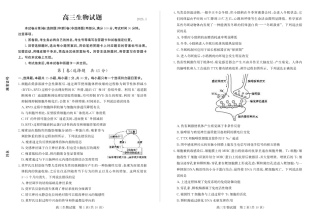 山东省德州市2024-2025学年高三上学期1月期末考试生物.pdf