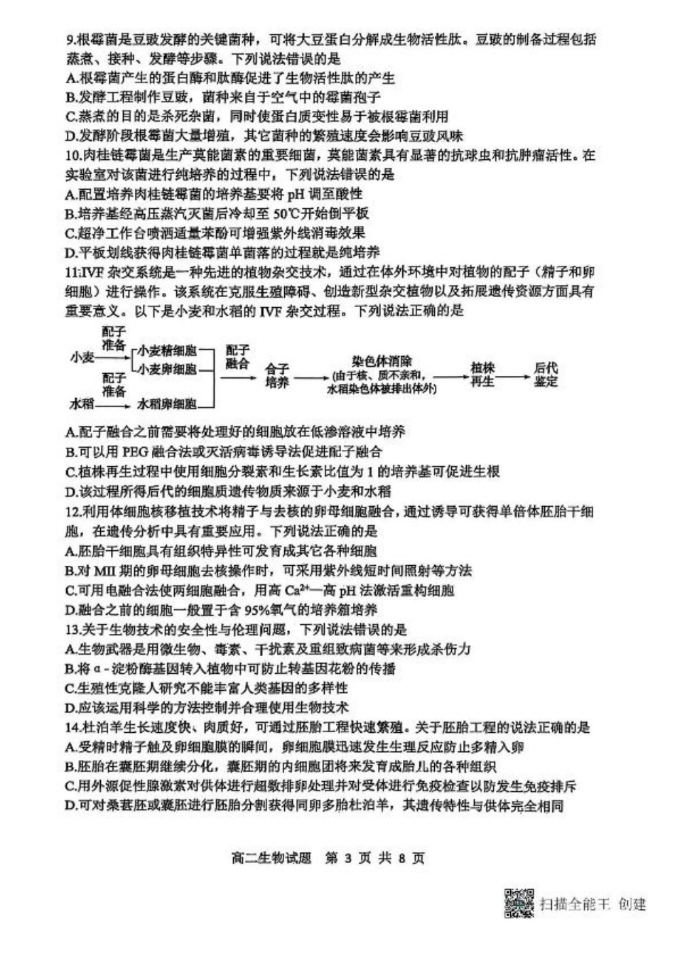 山东省东营市2024-2025学年高二下学期期末质量监测生物试卷（含答案）.pdf_第3页