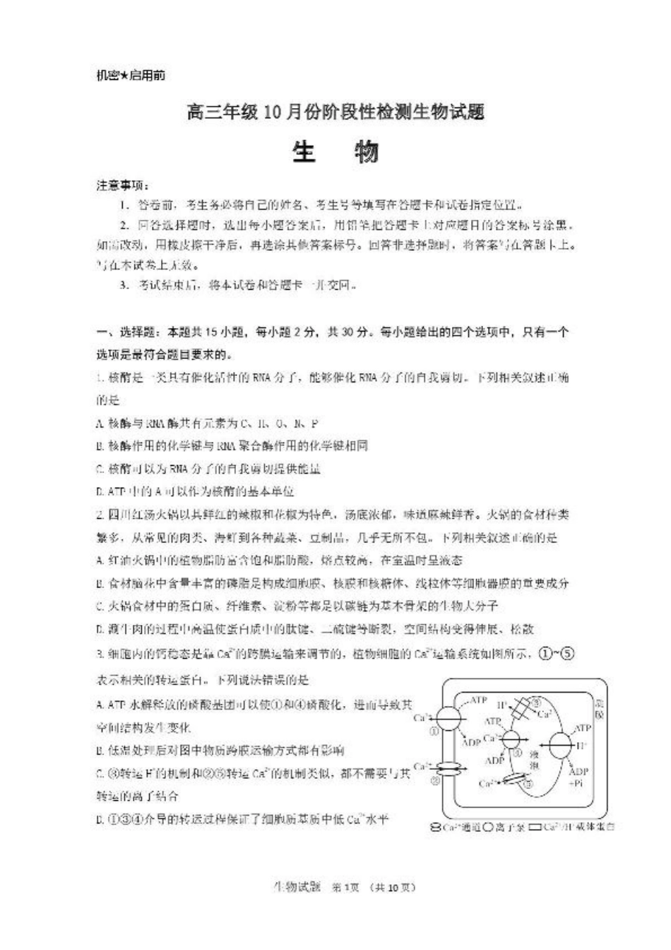 山东省济南市山东师范大学附属中学2025-2026学年高三上学期10月阶段性检测生物试题（含答案）.pdf_第1页