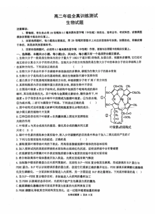 山东省莱州市第一中学2024-2025学年高二下学期期末全真训练测试 生物 PDF版含解析.pdf