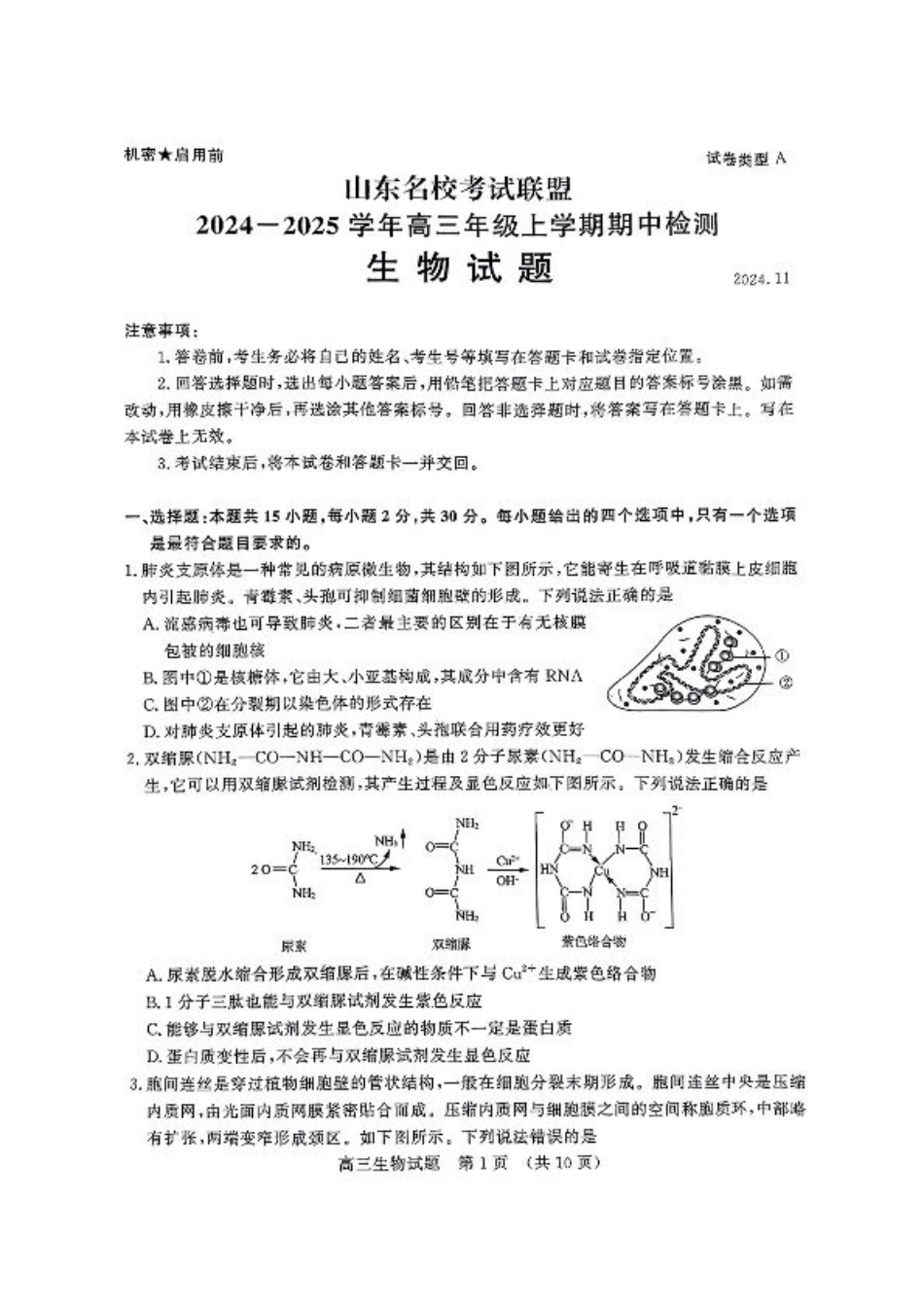 山东省名校考试联盟2024-2025学年高三上学期期中考试生物_生物.pdf_第1页