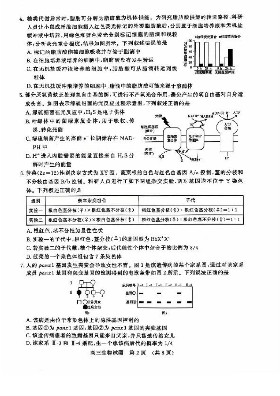 山东省名校考试联盟2024年12月高三阶段性检测生物_生物试卷.pdf_第2页