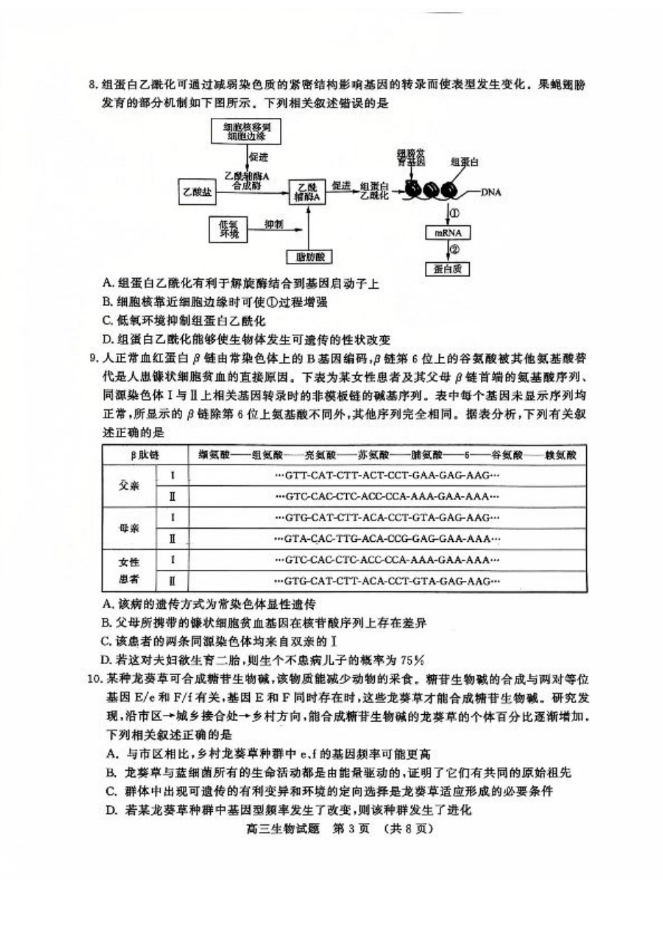 山东省名校考试联盟2024年12月高三阶段性检测生物_生物试卷.pdf_第3页