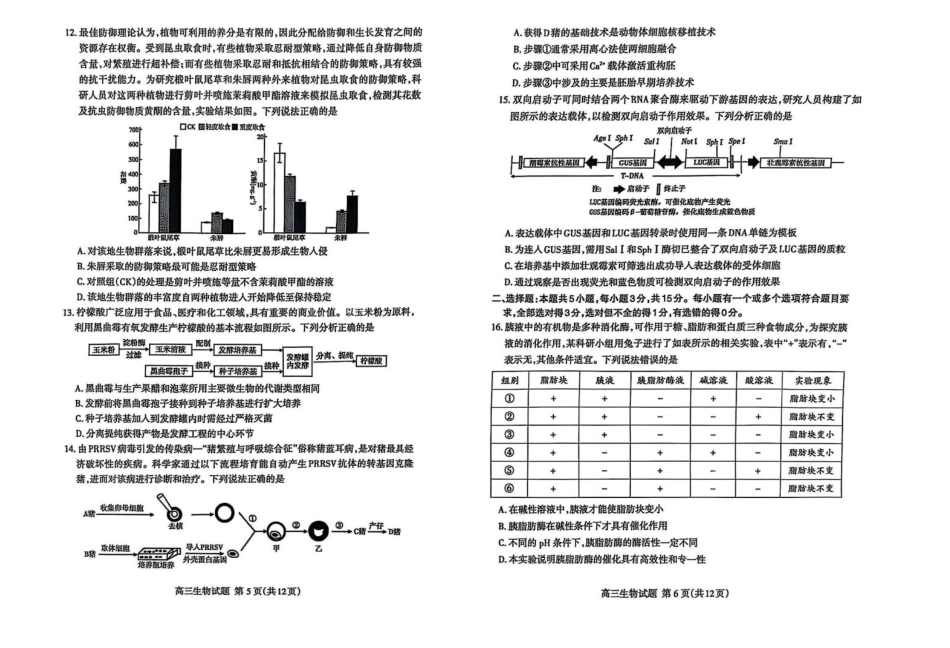 山东省泰安市2025届高三二轮模拟检测考试（泰安二模）（全科）_生物试题.pdf_第3页