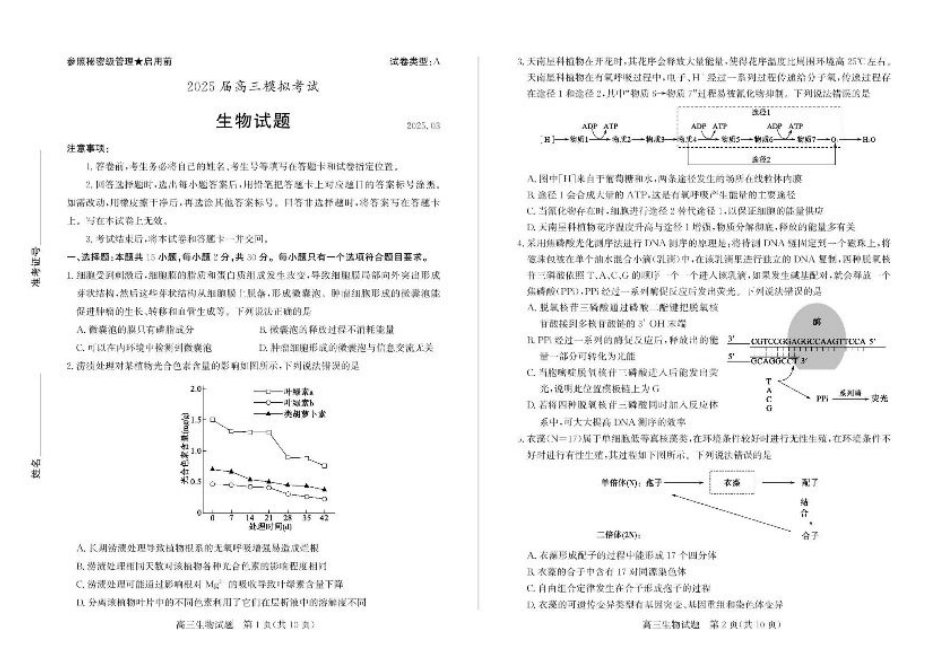 山东省枣庄市2025届高三模拟考试（枣庄二调）生物试题（含答案）.pdf_第1页