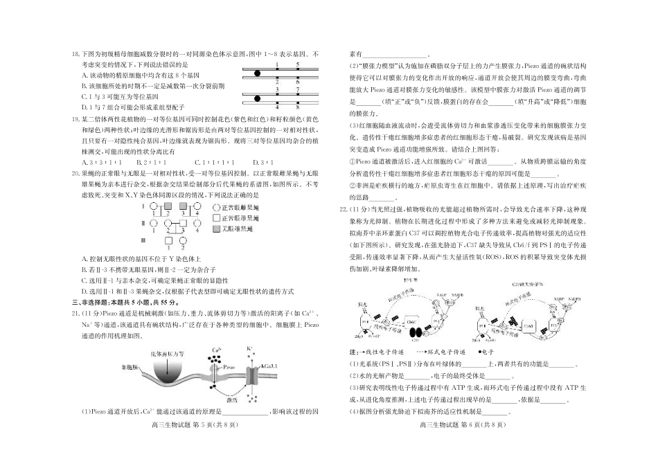 山东新高考联合质量测评高三10月联考试题 生物试卷.pdf_第3页