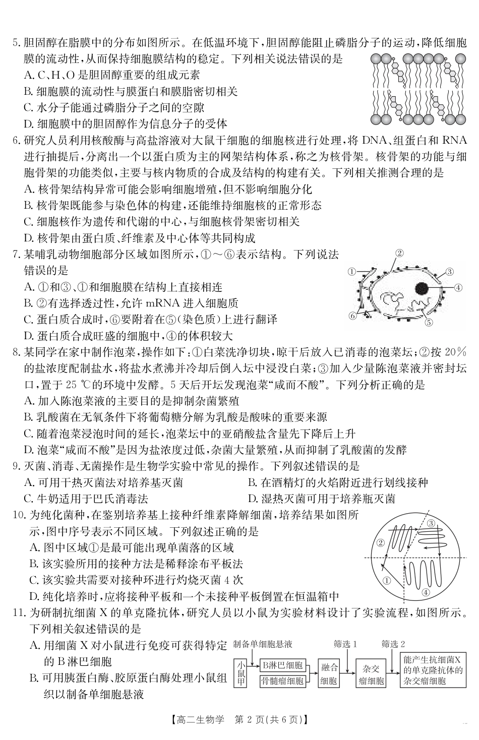 山西省2024-2025学年高二下学期期末考试 生物.pdf_第2页