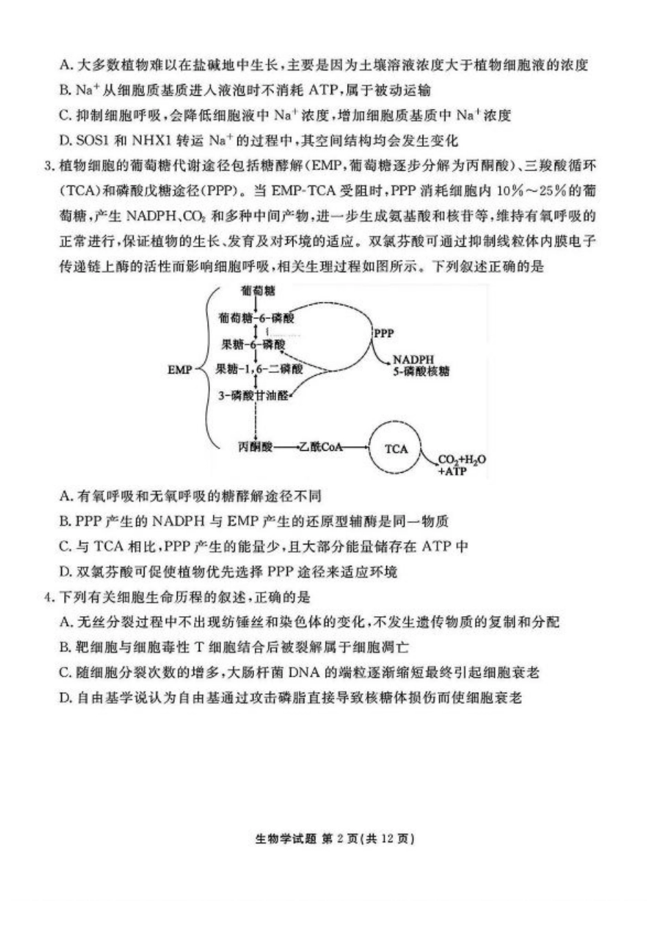 山西省部分学校2024-2025学年高三下学期2月开学考试生物试卷+答案.pdf_第2页