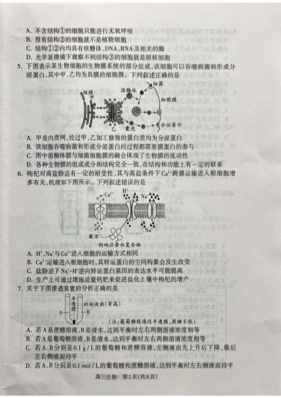 山西省吕梁市2024-2025学年高三上学期11月期中生物试题.pdf_第2页