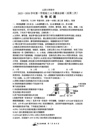 山西省山西大学附属中学校2025-2026学年高三上学期8月模块诊断（总第二次）生物试题.pdf