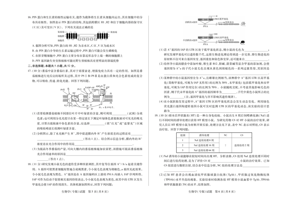 陕西省、山西省大联考2024-2025学年高中毕业班阶段性测试（六）生物.pdf_第3页