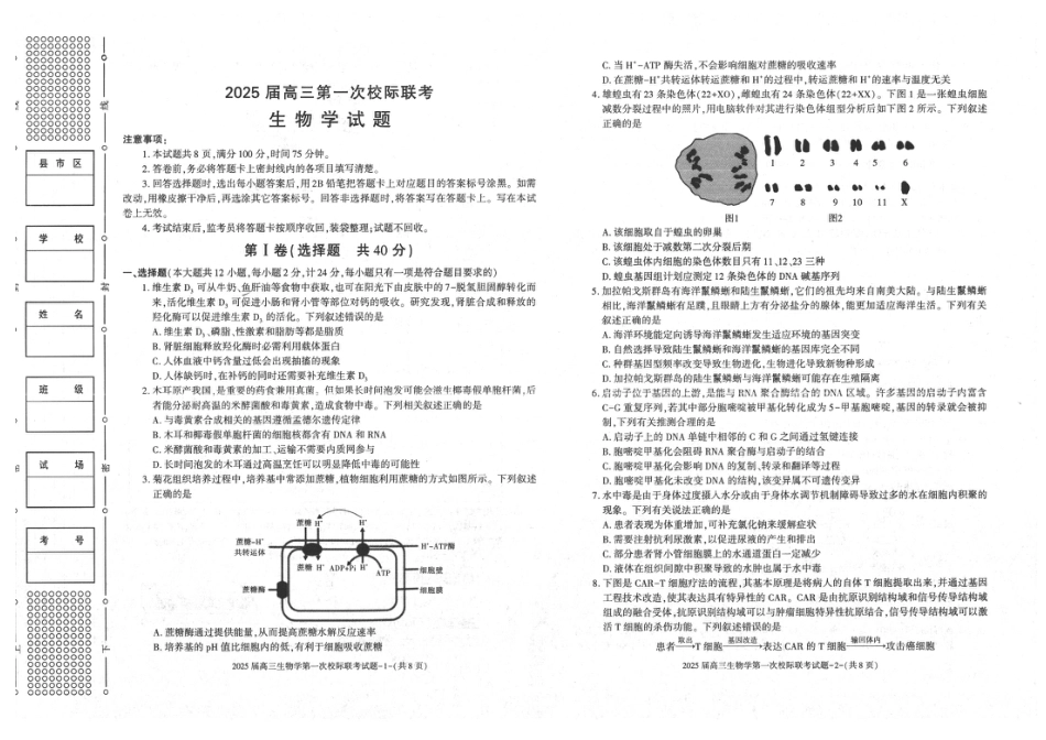 陕西省2024-2025学年高三上学期第一次校际联考（开学）生物试题.pdf_第1页