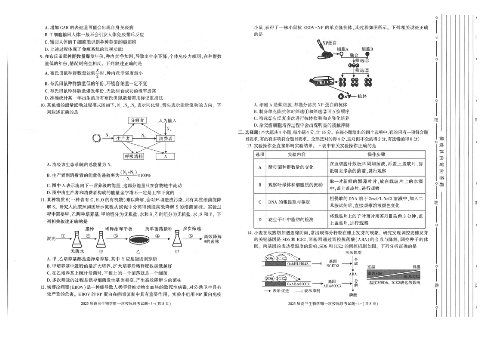 陕西省2024-2025学年高三上学期第一次校际联考（开学）生物试题.pdf_第2页