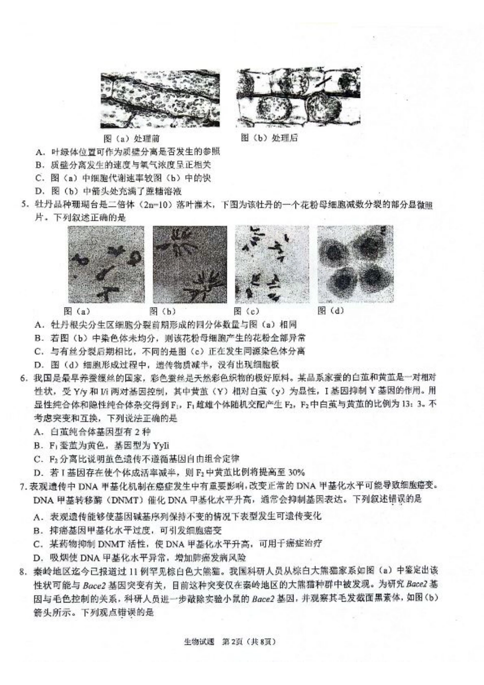 陕西省2024-2025学年高三上学期开学考试生物试题.pdf_第2页