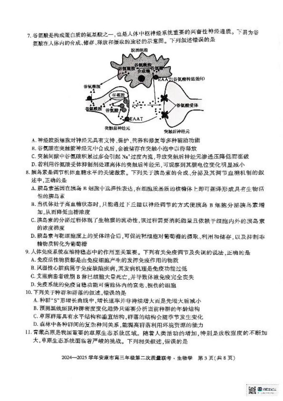 陕西省安康市2025届高三下学期第二次质量联考（二模）生物试题（含答案).pdf_第3页
