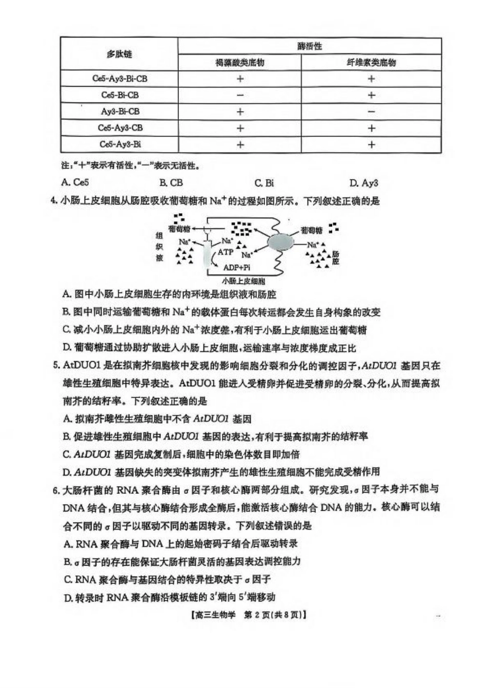 陕西省商洛市2025届高三第三次模拟检测生物试卷（含答案）.pdf_第2页