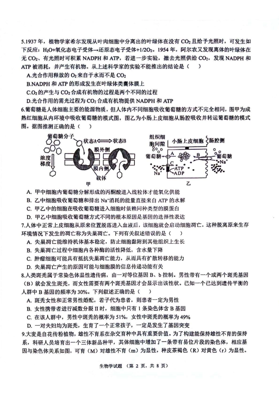 陕西省西安市2024-2025学年高三上学期11月联考一模试题生物_生物.pdf_第2页