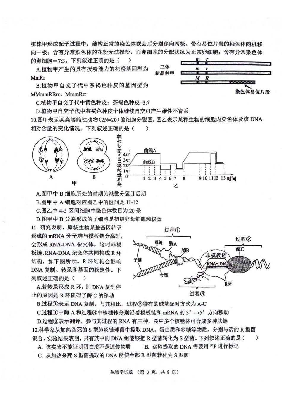 陕西省西安市2024-2025学年高三上学期11月联考一模试题生物_生物.pdf_第3页