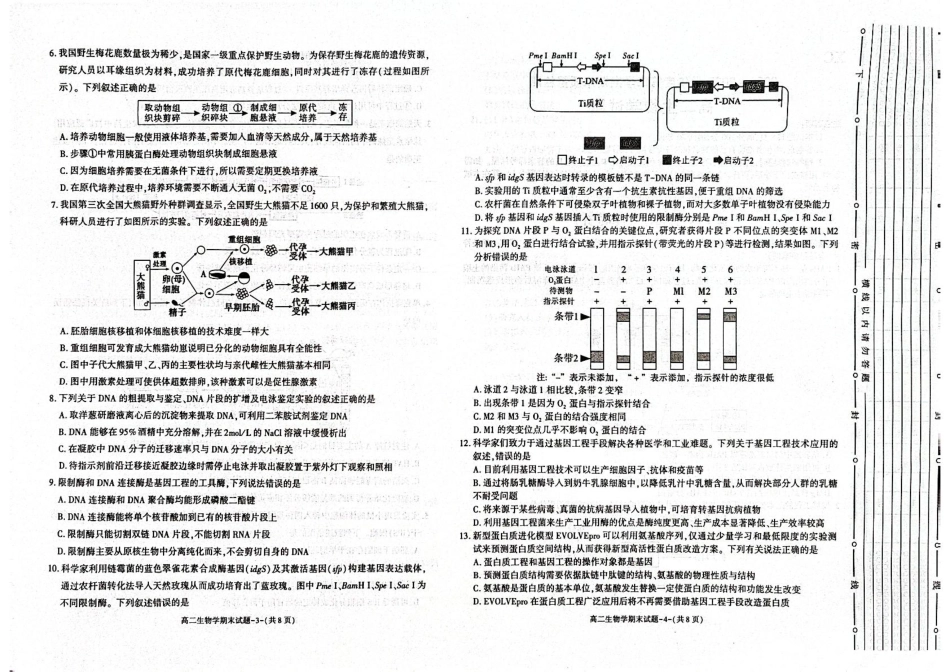 陕西省西安市新城区2024-2025学年高二下学期7月期末生物试题（含答案）.pdf_第2页