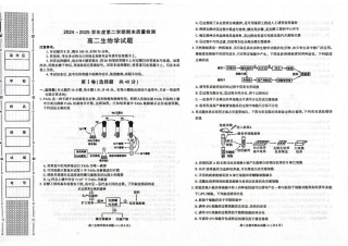 陕西省西安市新城区2024-2025学年高二下学期7月期末生物试题（含答案）.pdf