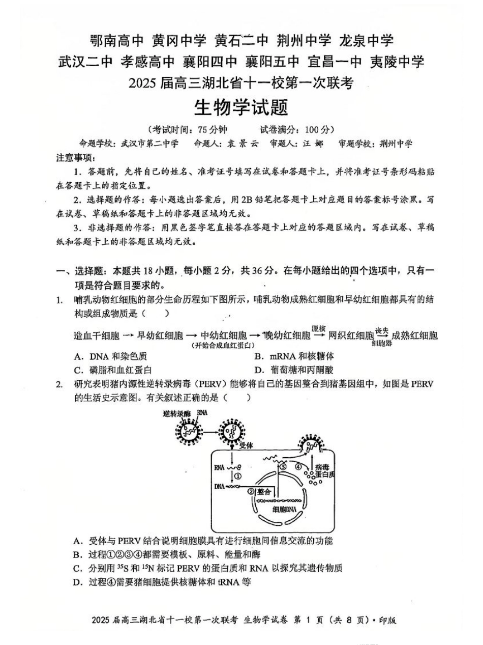 生物_2025年湖北省十一校第一次联考生物试卷.pdf_第1页