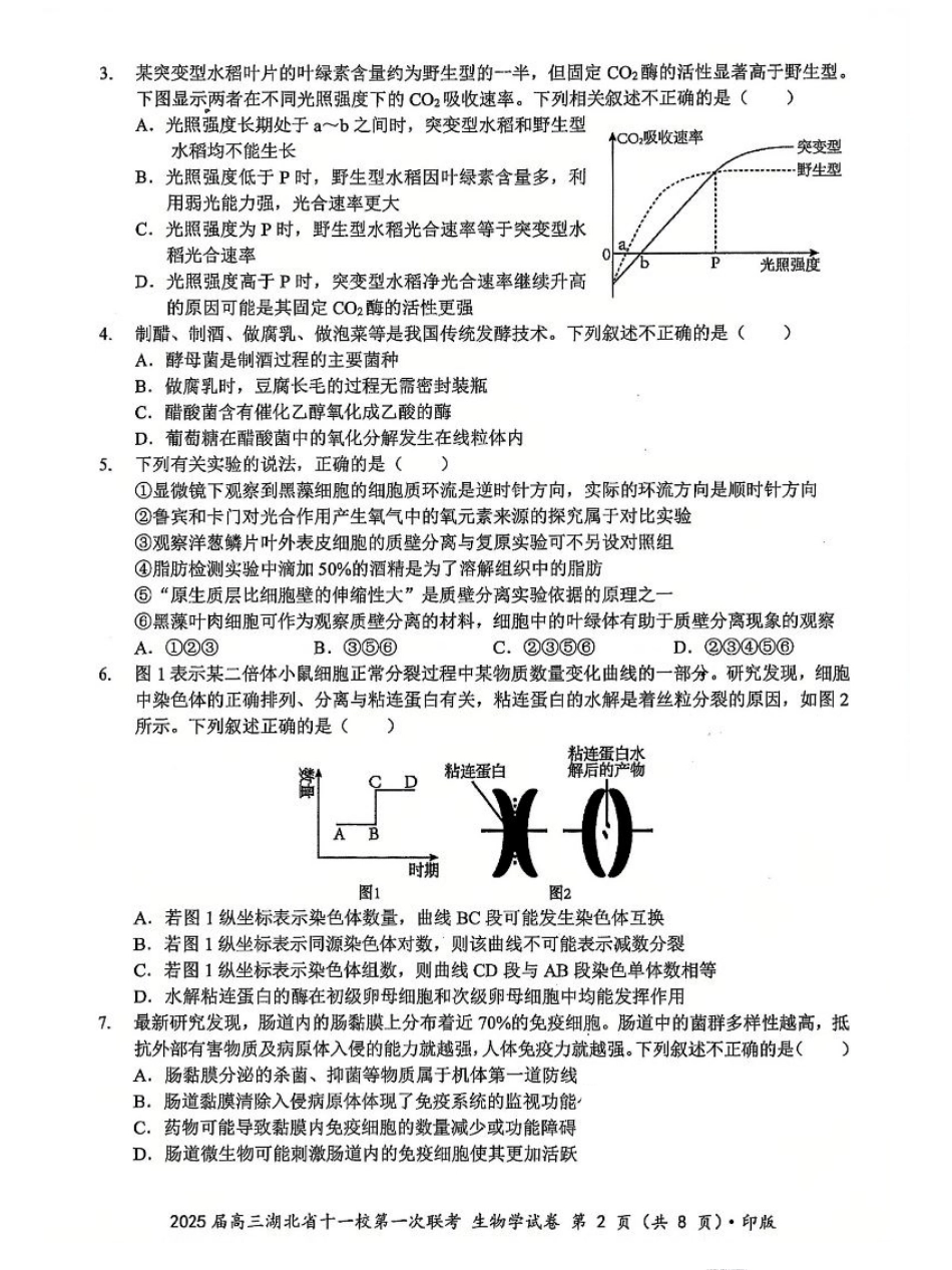 生物_2025年湖北省十一校第一次联考生物试卷.pdf_第2页