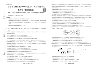 生物2024年辽宁高三12月联考试卷（考后强化版）.pdf