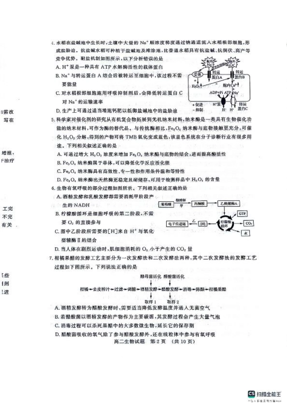 生物-山东省济南市2025届高二下学期期末考试试题和答案.pdf_第2页