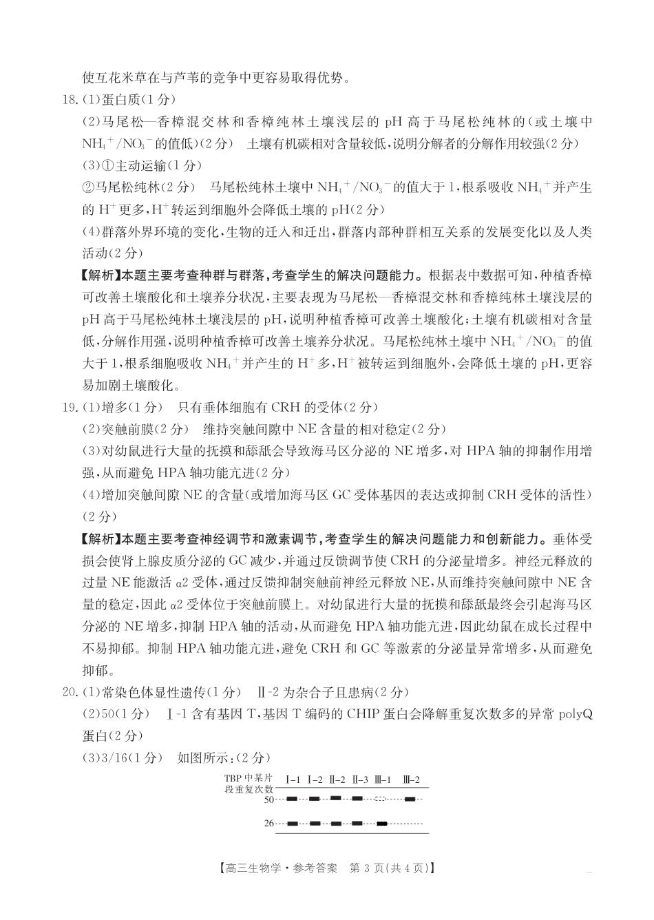 四川2024-2025学年高三上学期9月开学考试生物答案.pdf_第3页